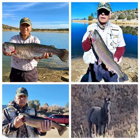 Jicarilla Fishing Blog.